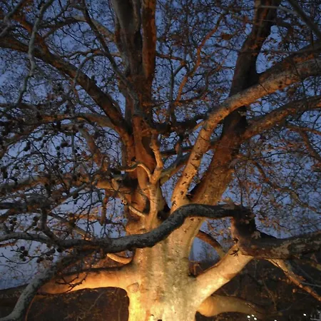 Grand Heykel Hotel Bursa